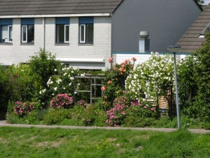 Tuin Tuin