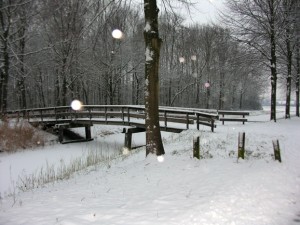 Sneeuw Sneeuw