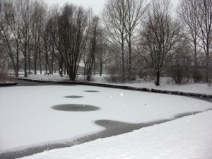Sneeuw Sneeuw