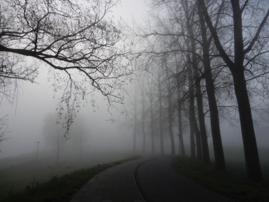 Mist Mist