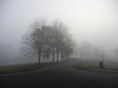 Mist Mist