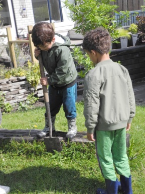 Tuin opruimen Tuin