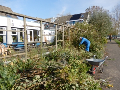 Tuin opruimen Tuin