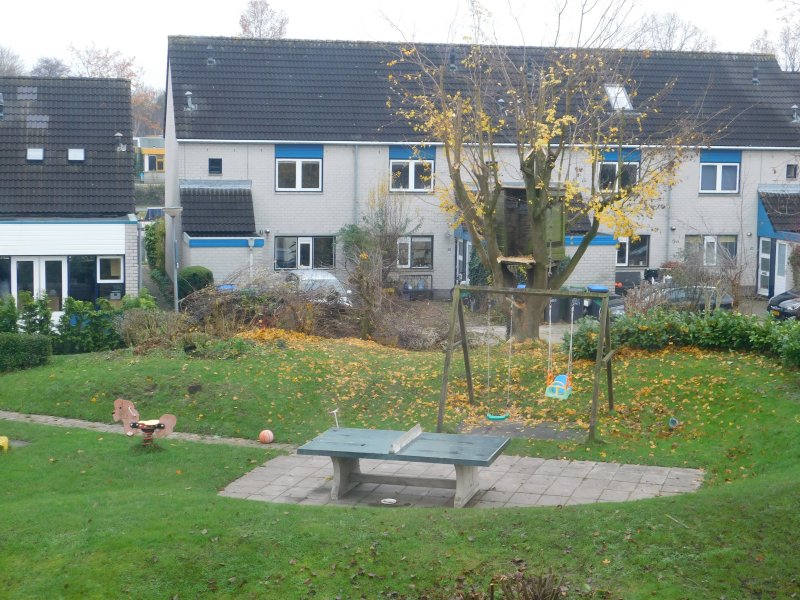 De boomhut boom gesnoeid Centrale tuin