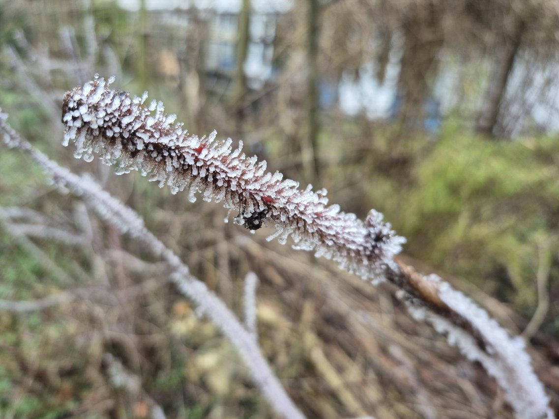 Winter pracht Winter 2025
