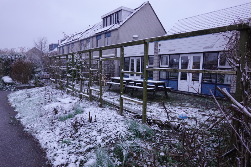 Winter ochtend Winter 2025